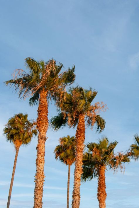 California Aesthetic Los Angeles, Aesthetic Los Angeles, Summer Golden Hour, Golden Hour Aesthetic, California Aesthetic, Vibe Aesthetic, California Vibe, Fashion Design Collection, Aesthetic Nature