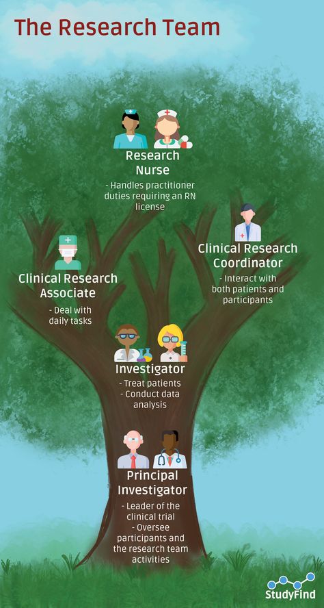 This week's infographic is a family tree of those who take part in conducting research studies. These are the main roles, but there are other jobs that assist in the research process as well.  #TechStartup #Study #Infographic #Marketing #Science #Research #Participants #Family Clinical Trials Infographic, Study Types, Study Infographic, Clinical Trials Study, Research Process, Team Activities, Science Research, Health Research, Infographic Marketing