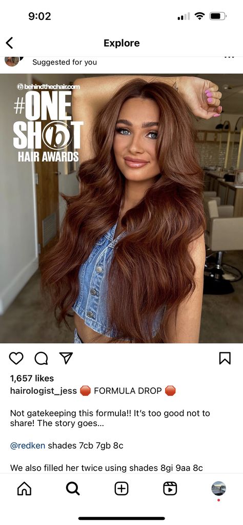 Chelsea Houska Hair Color Formula, Auburn Toner Before And After, Auburn Redken Formula, Red Toner Formula, 5nw Shades Eq, Chestnut Brown Hair Formula, Cowboy Copper Hair Formula Shades Eq, Redken Auburn Formula, Copper Formula Hair