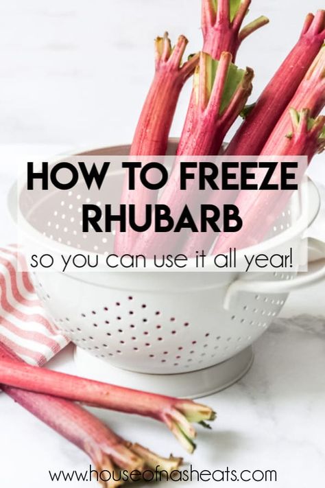 This quick and easy method for how to freeze rhubarb let's you make the most of the unusual plant's short growing season so you can enjoy the tart flavor of rhubarb all year long! #rhubarb #freeze #frozen #best #easy #method #howto Can You Freeze Rhubarb, Rhubarb Bread, Freeze Rhubarb, Rhubarb Coffee Cakes, Rhubarb Crisp, Rhubarb Cake, Rhubarb Recipes, Easy Cooking Recipes, Easy Beef