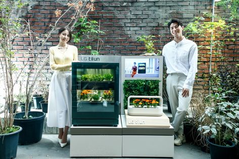 LG Electronics has added a plant germinator to its smart home appliance portfolio, targeting people with black thumbs wishing to grow plants and flowers indoors.   "While many South Koreans attempt to grow plants at home these days, more than 60 percent have expressed difficulty in keeping them alive. LG tiiun was launched to resolve this pain point prevalent among consumers,” said Sprout Company CEO ... Plants At Home, Laundry Equipment, Indoor Greenhouse, Electronic Appliances, Smart Home Appliances, Smart Garden, Grow Plants, Green Accessories, Lg Electronics