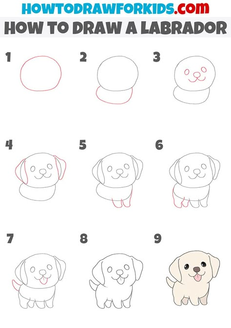 Easy Labrador Drawing, How To Draw Labrador, How To Draw A Labrador Step By Step, Labrador Drawing Simple, Dog Drawing Labrador, Draw Dog Step By Step, Labrador Doodle, Draw A Labrador, Dog Easy Drawing