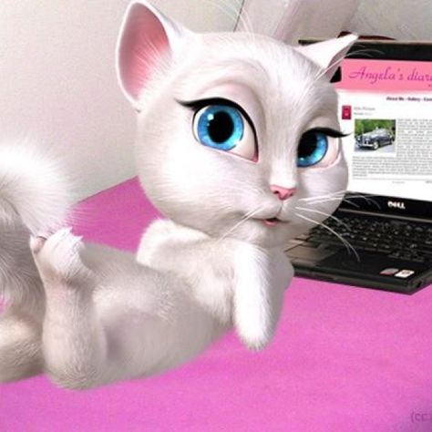 Talking Angela, Screen, Pink