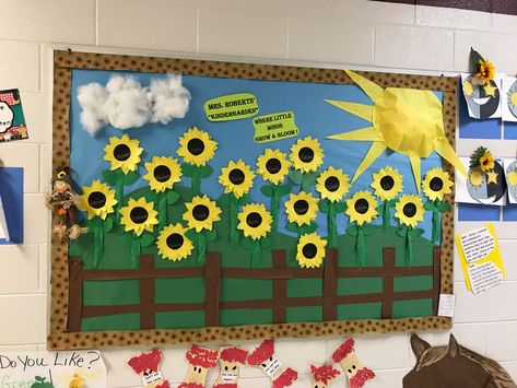 Sunflower Bulletin Board Ideas, Farm Bulletin Board, Garden Bulletin Boards, Sunflower Bulletin Board, Preschool Classroom Setup, Sunshine Committee, Friendly Fox, Infant Classroom, Preschool Bulletin