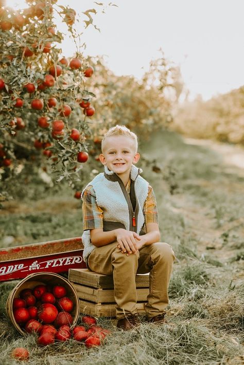 Apple Orchard First Birthday Pictures, Apple Tree Family Photos, Apple Mini Session Ideas, Apple Stand Photoshoot, Family Photoshoot Apple Orchard, Apple Orchard Mini Session, Family Apple Picking Photos, Family Photos Apple Orchard, Apple Orchard Fall Photoshoot