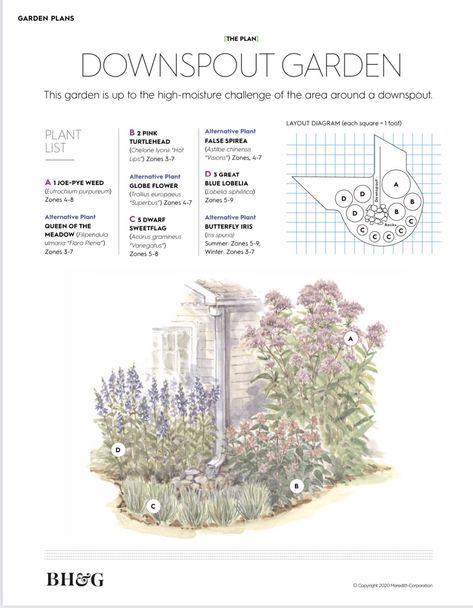 Flower Garden Plans, Front Garden Landscape, Corner Garden, Garden Design Plans, Side Garden, Backyard Inspiration, Pollinator Garden, Home Landscaping, Garden Yard Ideas