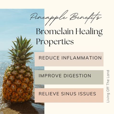 Pineapple Benefits Bromelaine Bromelain Benefits, Sinus Inflammation, Pineapple Benefits, Sinus Problems, Diet Inspiration, Improve Heart Health, Integrative Health, Living Off The Land, Tea Recipe