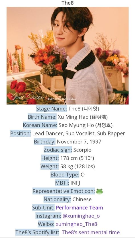 #The8 #Seventeen #kpopprofile Seventeen Names, Seventeen Profile, Seventeen Facts, Drama Journal, The8 Seventeen, Seventeen Minghao, Kpop Profiles, Seventeen The8, Seventeen Going Seventeen