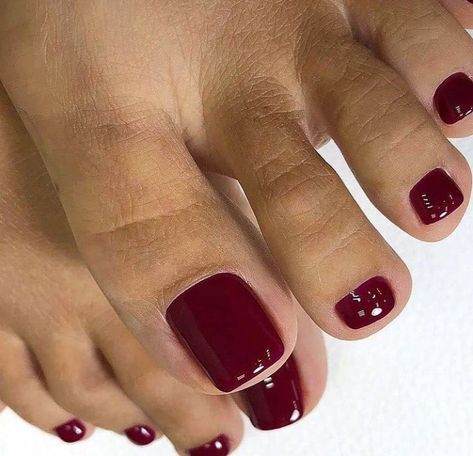 Dark Red Pedicure Toenails, Maroon Toe Nails, Pedicure Autumn, Dark Red Toe Nails, Burgundy Toes, Classy Pedicure, French Toe Nails, Red Pedicure, Red Toenails