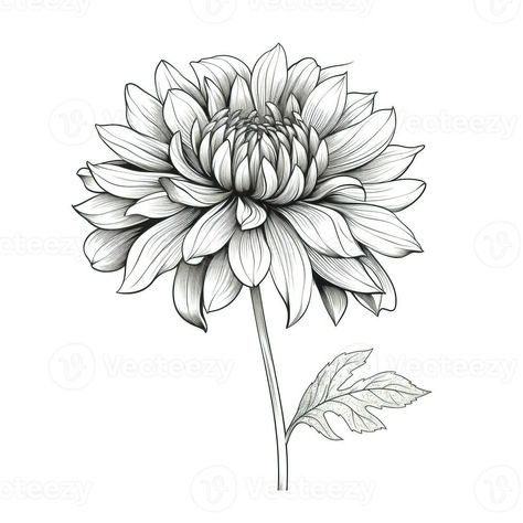 garden Dahlia flower ai generated Dahlia Flower Sketch, Dahlia Art Drawing, Dahlia Sketch, Dahlia Flower Drawing, Dahlia Drawing, Daliah Flower, Garden Dahlia, Dahlia Tattoo, Azalea Flower