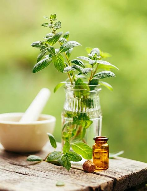 Peppermint Oil Itching Skin Remedies, Peppermint Oil For Skin, Remedies For Itchy Skin, Skin Rash Remedies, Herbal Mouthwash, Mouthwash Recipe, Itchy Skin Remedy, Relieve Itchy Skin, Pepper Mint