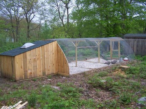 Peacock Coop, Backyard Chicken Run, Peacock Pen, Chicken Backyard, Chicken Coop Blueprints, Easy Chicken Coop, Chicken Pen, Coop Design, Best Chicken Coop