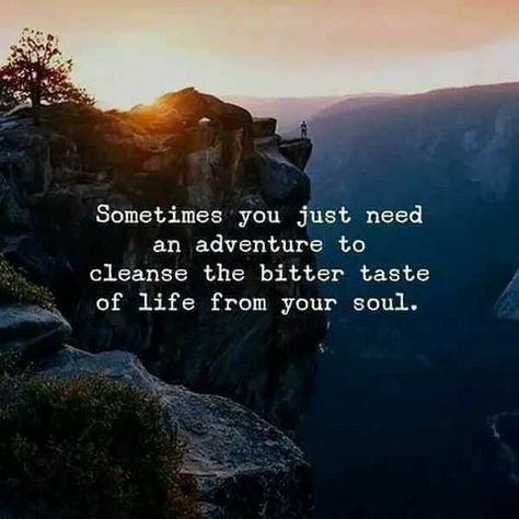 Citation Nature, Hiking Quotes, Quotes Thoughts, Bohol, Adventure Quotes, Nature Quotes, Life Coaching, Quotable Quotes, A Quote