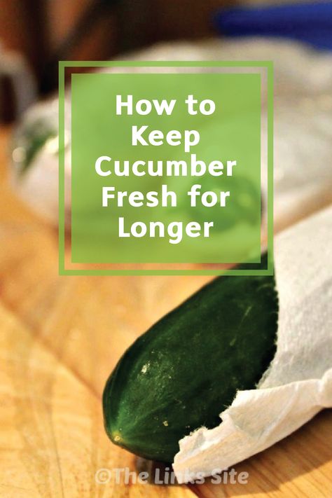 Best Way To Store Cucumbers In Fridge, Cucumber Storage Fridge, How To Keep Veggies Fresh Longer, How To Keep Cucumbers Fresh, Best Way To Store Cucumbers, Store Cucumbers In Fridge, How To Use Up Cucumbers, How To Keep Cucumbers Fresh Longer, How To Store Cucumbers In The Fridge