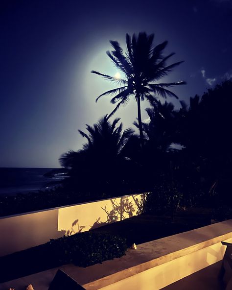 This photograph of a coconut palm backlit by the full moon in Vieques, Puerto Rico can be a small getaway in itself, or a reminder to schedule a much needed vacation. The print on photo paper is not matted or framed so you can make your decisions based on your decor. Coconut Asthetic Picture, Vieques Puerto Rico, Life Pics, 2013 Swag Era, Night Summer, Beach At Night, Sky Pictures, Night Scenery, Pretty Pics