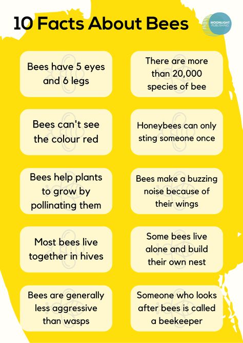 10 Fascinating Bee Facts for Kids | Free PDF - Moonlight Publishing Bee Homeschool Activities, Honeybee Life Cycle, Bee Activities Kindergarten, Bee School Project, Bee Facts For Preschoolers, Bumble Bee Activities For Toddlers, Bee Learning Activities For Kids, Bees Preschool Theme, Bee Lessons For Preschoolers