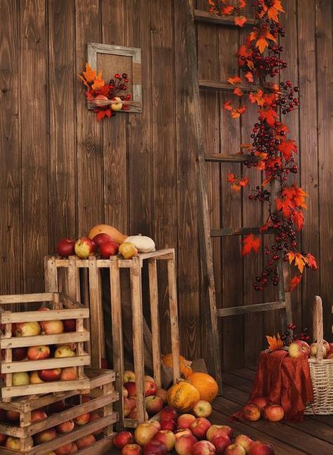 Spectacular Fall Decorations and Yard Installations Created with Pumpkins and Autumn Leaves Fall Photo Booth, Fall Backdrops, Outside Fall Decor, Halloween Decor Diy, Decoration Vitrine, Leaf Photography, Decor Studio, Muslin Backdrops, Pumpkin Leaves