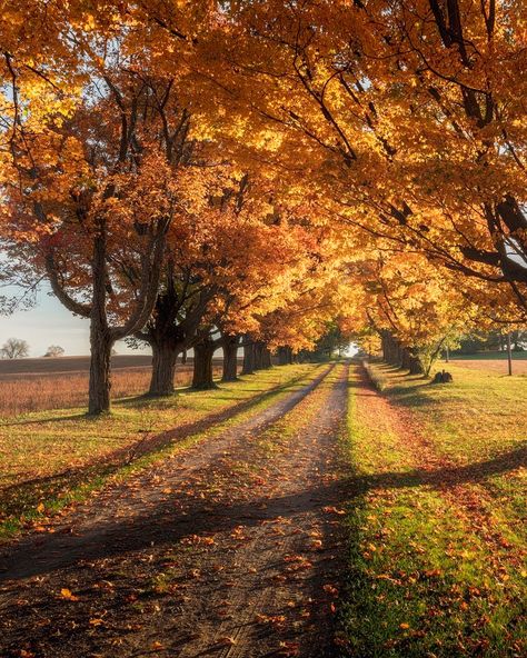 🇨🇦 Fall colours (Ontario) by Donald L. cr.🍂 Country Fall Aesthetic, Vintage Autumn Aesthetic, Fall In The Country, Fall Aesthetic Vintage, Light Fall, Studera Motivation, Fall Colours, Autumn Magic, Autumn Scenes