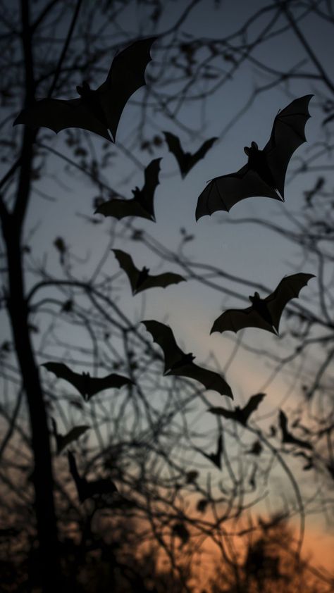 Gothic Thanksgiving Wallpaper, Crow Wallpaper Iphone, Bat Aesthetic Wallpaper, Bat Aesthetic, Bat Wallpaper, Best Nature Images, Halloween Wallpapers, Thanksgiving Wallpaper, Witchy Wallpaper