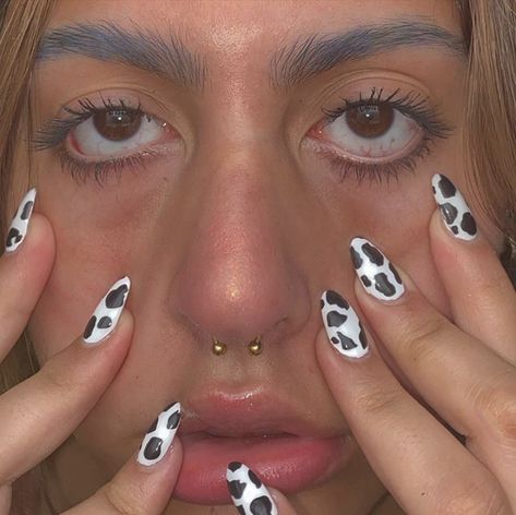 moo Cow Piercing Nose, Nose Bull Ring Piercing, Bull With Nose Ring, Cow Nose, Memes About Nose Piercing, Cow Nails, Nose Piercing, Cow, Nose Ring