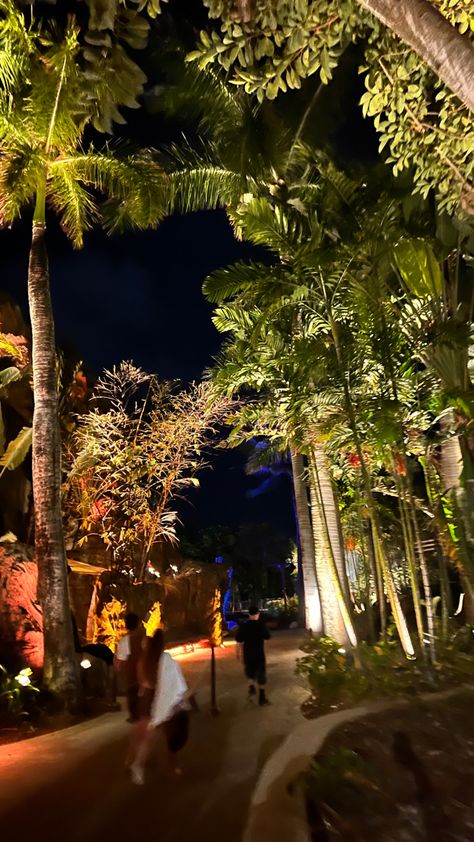 Hawaii Story Instagram, Resort Aesthetic Night, Hawaii Trip Aesthetic, Hawai’i Aesthetic, Hawaii Night, Hawaii At Night, Hawaii At Night Aesthetic, Hawaii Girl, Tropical Beach At Night