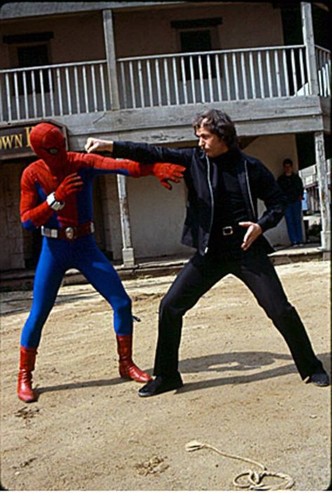 Spiderman Tv, Nicholas Hammond, Ben Reilly, Spider Man Spider, Parker Spiderman, Peter Parker Spiderman, Superhero Cartoon, Man Spider, Stunt Doubles