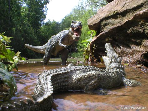 Here comes trouble by Carnosaur on DeviantArt Dinosaur Diorama, Dinosaur Photography, Here Comes Trouble, Prehistoric Wildlife, Dinosaur Images, Prehistoric World, Jurassic World Dinosaurs, Skull Island, Dinosaurs Figures