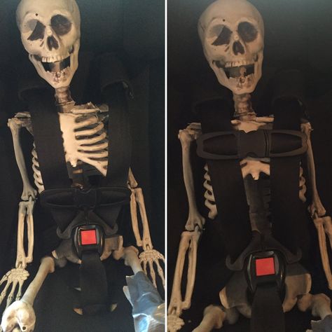 This Photo of a Skeleton in a Car Seat Is the Most Important Safety Lesson You Can Get Car Seat Safety Chest Clip, Side By Side Photo, Car Seat Safety, Extended Rear Facing, Carseat Safety, Mom Photos, Child Car Seat, Baby Center, Baby Development