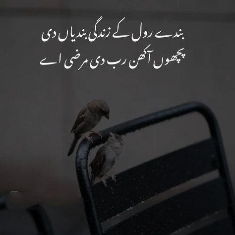 Punjabi Poetry Punjabi Quotes In Urdu, Describe Feelings, Basic English Sentences, Diary Writing, Beautiful Love Images, Basic English, Views Video, Words That Describe Feelings, Dont Touch My Phone Wallpaper