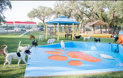 Dog Daycare Business, Dog Friendly Backyard, Pet Store Ideas, Dog Boarding Kennels, Pet Cafe, Dog Swimming Pools, Doggy Daycare, Outside Dogs, Dog Hotel