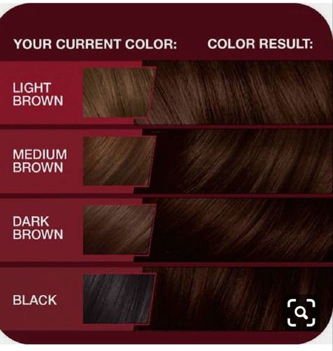 Chocolate Cherry Hair Color, Chocolate Brunette Hair, Brunette Hair Color With Highlights, Dark Chocolate Brown Hair, Cherry Hair Colors, Dark Auburn Hair, Chestnut Brown Hair, Brown Hair Shades, Vidal Sassoon