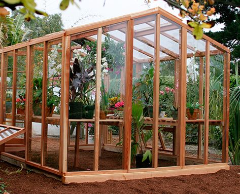 Deluxe Kits | Glass & Polycarbonate Greenhouses for Home Gardeners Green House Plans, Wooden Greenhouse, Natural Plant Food, Art Shed, Fibreglass Roof, Polycarbonate Greenhouse, Wooden Greenhouses, Backyard Greenhouse, Greenhouse Kit