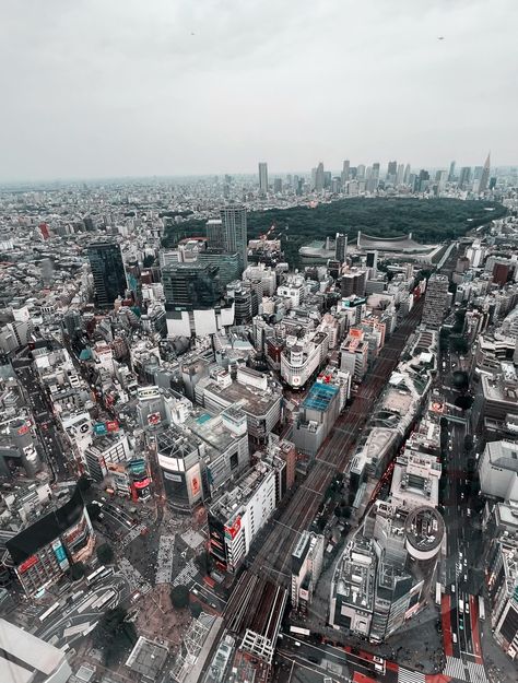 Birds Eye view of Shibuya Crosswalk by NOTREALTHROWAWAYLOLO The post Birds Eye view of Shibuya Crosswalk appeared first on Alo Japan. Tokyo City, Japan Photo, Birds Eye View, Birds Eye, Tokyo, Birds, Japan, Anime, Quick Saves