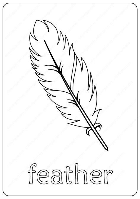 Feather Outline Coloring Page  #feather #printable #coloringpages #drawingpages #coloring #drawing #kids #childrens #animals #outline #pdf Feather Coloring Pages Free Printable, Feather Printable Templates, Swan Feathers Drawing, Feather Colouring Page, Feather Template Printable Free Pattern, Feather Template Printable Free, Feather Drawing Simple, Eagle Feather Drawing, Feather Coloring Pages