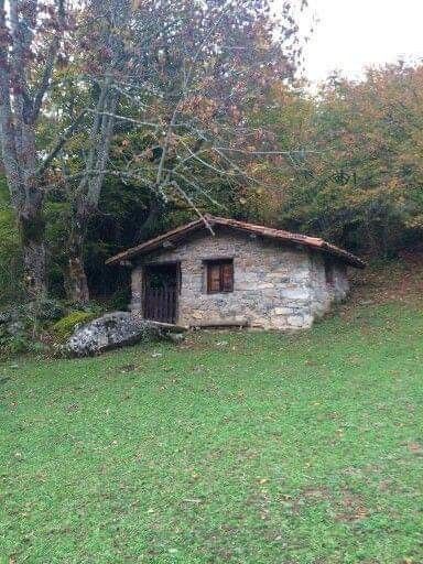 French Country Cabin, Farm Houseplans, Stone Hut, World Pic, Stone Veneer Exterior, Stone Cabin, Brick Works, Hut House, Tiny House Village