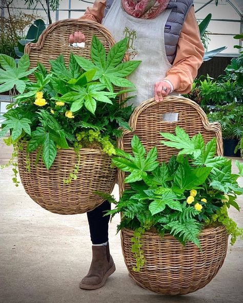 Basket Decor Ideas, Wicker Wall Baskets, Front Door Baskets, French Provence, Sacred Garden, Covered Porches, Garden Basket, Wicker Planter, Wicker Wall