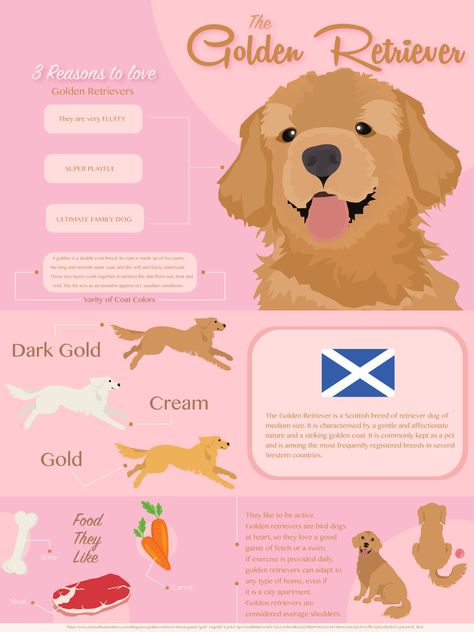 Infographic design layout of all about GR. Dogs Infographic, Cat Infographic, Pet Advertising, Dog Infographic, Infographic Layout, Infographic Design Layout, Infographic Poster, Therapy Animals, Info Design