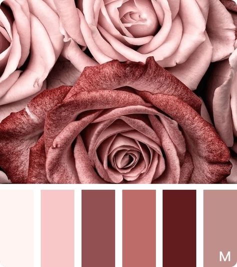 Dusty Rose Mood Board, Royalty Color Palette, Old Rose Color Palette, Rose Color Palette, Old Rose Color, Neutral Pink, Color Schemes Colour Palettes, Color Palette Pink, Nature Color Palette