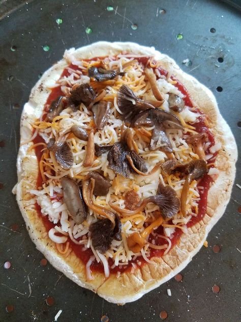 Giant Puffball Mushroom Pizza – Wisconsin Wellness Puffball Mushroom Pizza, Giant Puffball Mushroom Recipe, Puff Ball Mushroom Recipes, Puffball Mushroom Recipes, Puffball Recipes, Puff Ball Mushroom, Forage Recipes, Mushroom Marinade, Mushroom Pizza Recipes