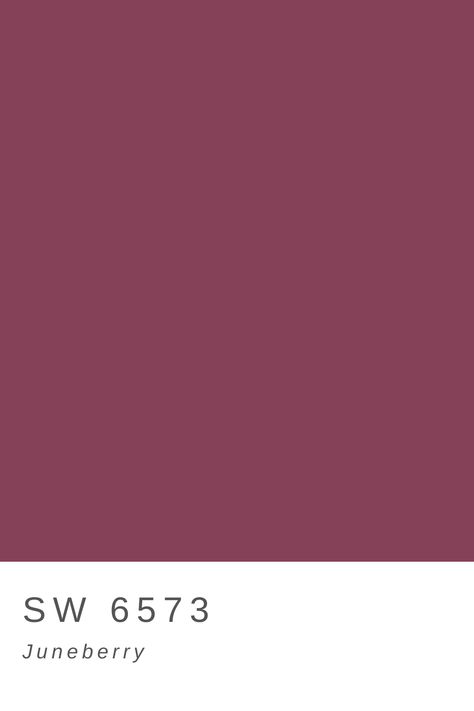 Juneberry Sherwin Williams, Berry Bedroom Ideas, Sherwin Williams Juneberry, Burgundy Rooms, Cranberry Paint Color, Colorful Environment, Plum Wall, Burgundy Room, Painted Exterior Doors