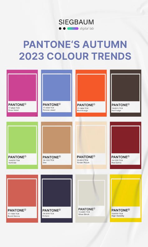 Instagram Design || Trendy colours || Fashion || SMM 2023 Colour Trends, Pantone Color Chart, Colour Trends, Autumn 2023, Silver Birch, Graphic Design Trends, Hot Fudge, Instagram Design, Pantone Color