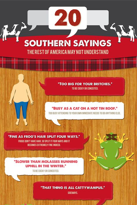 20 fun Southern Sayings that the rest of America might not understand. Slang Quotes, Southern Slang, Southern Humor, Southern Sayings, Southern Life, Split Hair, Knowledge Is Power, I Wish I Had, The Good Old Days