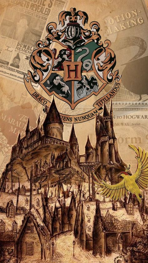 #hogwarts #harrypotter Harry Potter Wallpaper Backgrounds, Hogwarts Party, Harry Potter Classroom, Harry Potter Background, Harry Potter Illustrations, Harry Potter Tattoos, Harry Potter Halloween, Harry Potter Images, Images Harry Potter