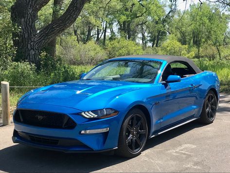 Blue Ford Mustang, Mustang Gt Premium, Widget Pics, Mustang Car, Ford Mustang Convertible, Ford Mustang Car, Pimped Out Cars, Mustang Convertible, Tesla Car