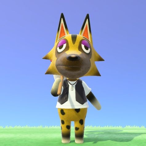 Acnh Kyle, Kyle Animal Crossing, Acnh Icons, Animal Crossing Characters, Character Collection, Wolves, Animal Crossing, Collage, Animals