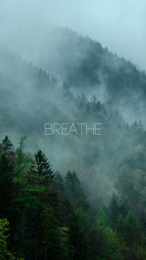 Breathe Breathe Wallpaper, Mountain Man Style, Fuji Mountain, Medical Wallpaper, Mountain Wallpaper, Facebook Youtube, Forest Wallpaper, Colorado Mountains, Rocky Mountain National