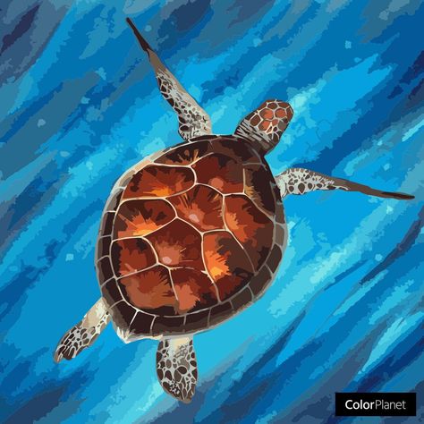 Turtle Painting Acrylic, Turtle Pictures, Sea Turtle Pictures, Sea Turtle Painting, Ocean Drawing, Turtle Drawing, Turtle Painting, Turtle Art, Underwater Life