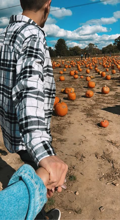 fall holding hands couple pumpkin picking Couple Picture Ideas Halloween, Cold Fall Couple Pictures, Fall Time Couple Pictures, Cute Fall Relationship Goals, Couple At Pumpkin Patch, The Fall Of Bradley Reed, Pumpkin Patch Photo Shoot Couples, Cute Couple Pics Pumpkin Patch, Thanksgiving Photoshoot Couples