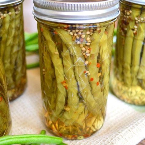 Spicy Garlic Canned Pickled Beans - An Oregon Cottage Spicy Garlic And Dill Pickled Beans, Canning Spicy Green Beans, Spicy Green Beans Canned, Pickled Beans Recipe Canning, Pickled Green Beans Refrigerator, Dill Beans, Spicy Pickled Green Beans, Pickled Beans Recipe Easy, Pickled Beans