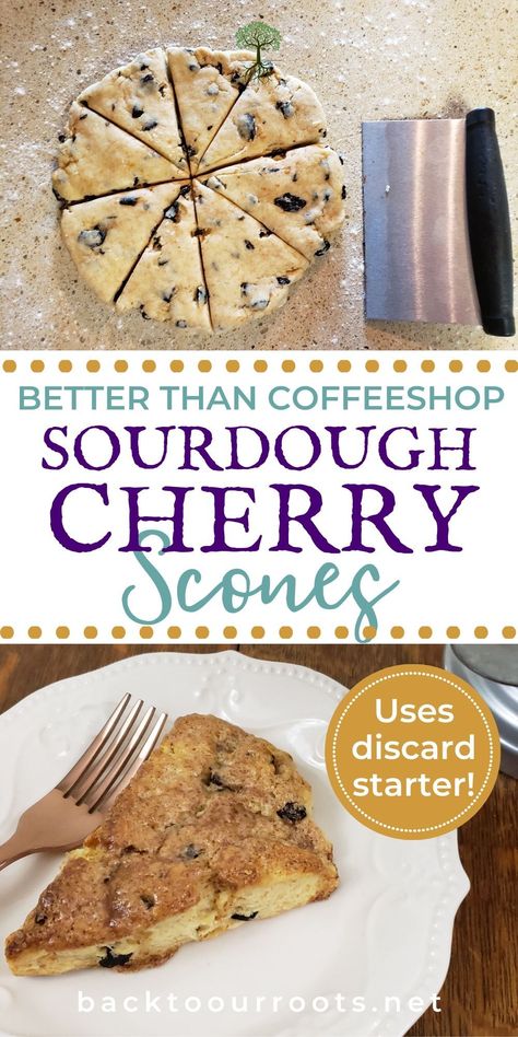 These really are better than what you'll find at your favorite coffee shop! And they are the perfect thing for your discard starter! Sourdough Scones, Cherry Scones, Sourdough Starter Discard Recipe, Sourdough Starter Recipe, Baking Stone, Sourdough Baking, Sourdough Bread Recipe, Starters Recipes, Scone Recipe